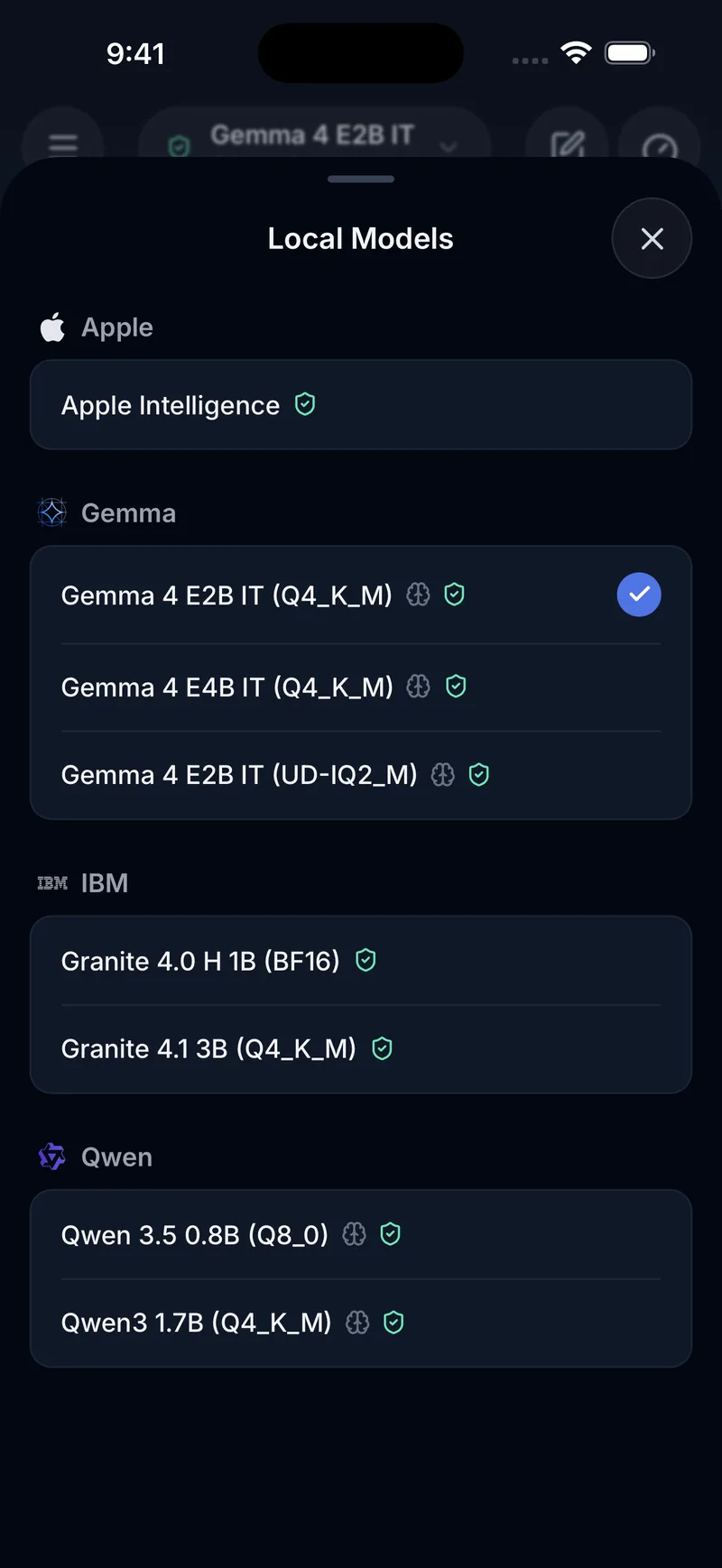 The list of AI models you can download in Aitopus, including Gemma, IBM Granite and Qwen.